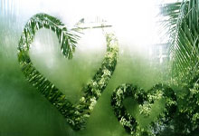 GOGO体育首页-莎拉波娃重返赛场，锐不可当首场状态出色，C9观众沸腾！